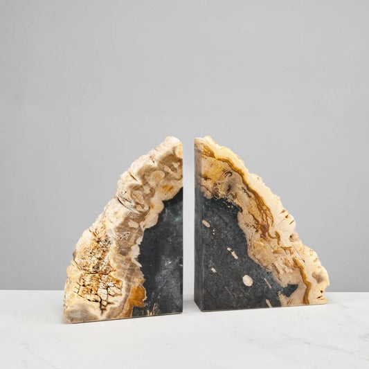Black Petrified Wood Bookend Set