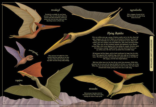 Secret Stories of Lost Beasts