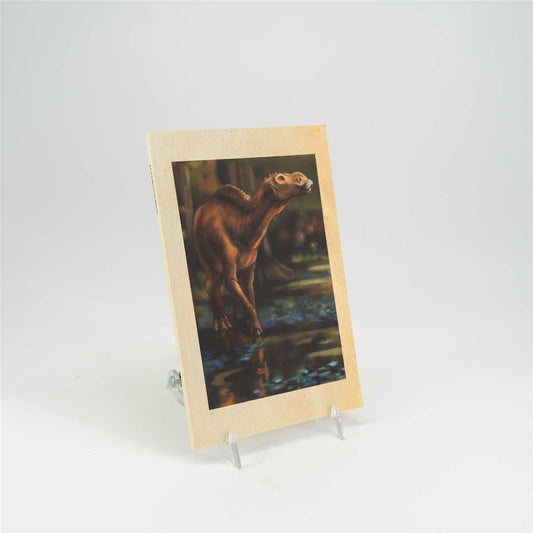 Hadrosaurus EFM Notebook