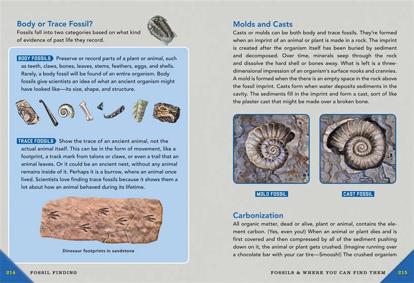 Outdoor School: Rock, Fossil, and Shell
