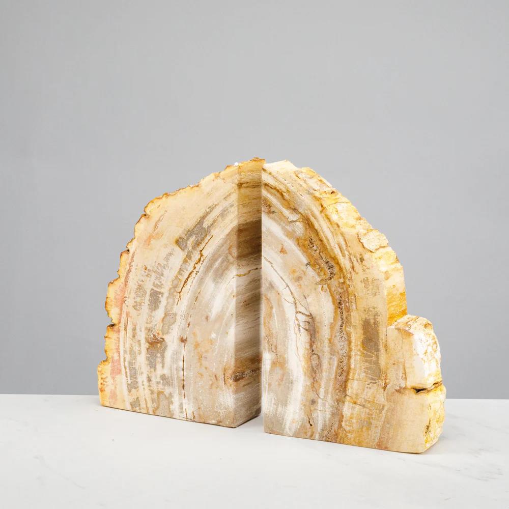 Brown Petrified Wood Bookend Set