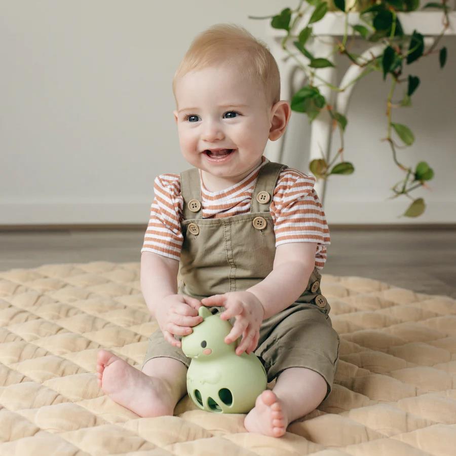 Silicone Dino Rattle
