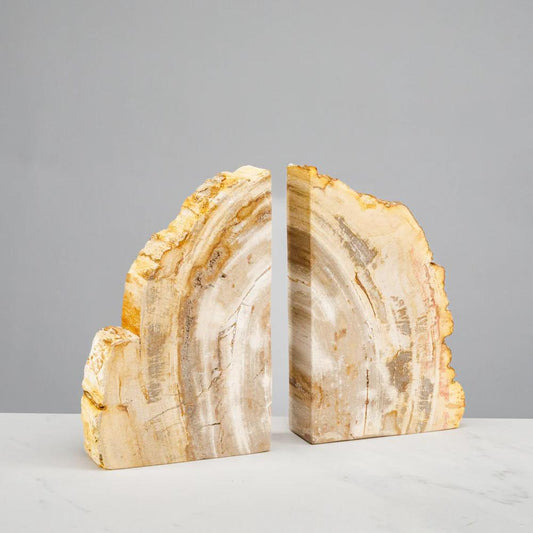 Brown Petrified Wood Bookend Set