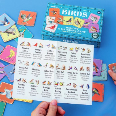Birds Little Matching Game