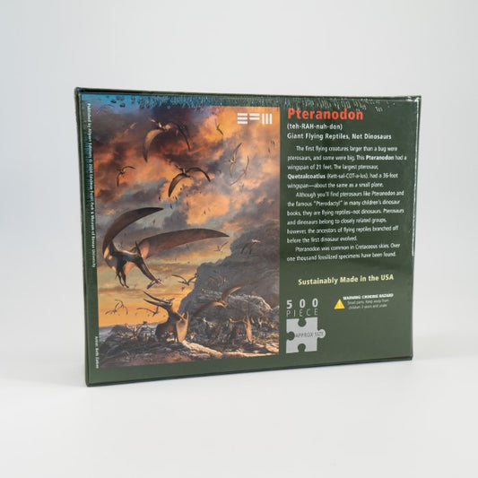 Pteranodon EFM Puzzle