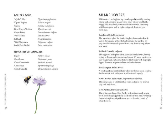 Planting Wildflowers: A Grower's Guide