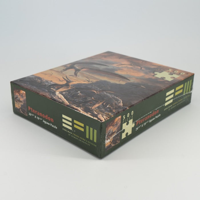 Pteranodon EFM Puzzle