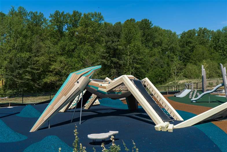 Pterosaur Pterrace Enamel Pin