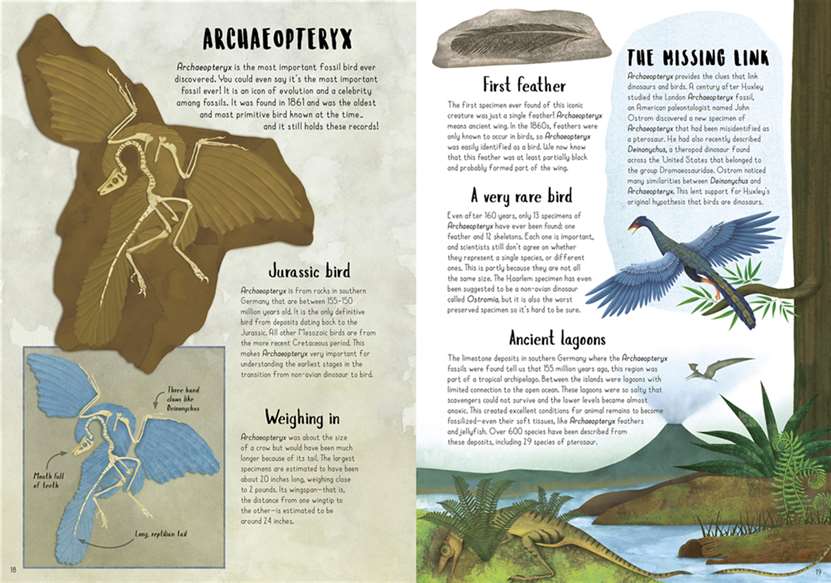 When Dinosaurs Conquered the Skies: The Incredible Story of Bird Evolution