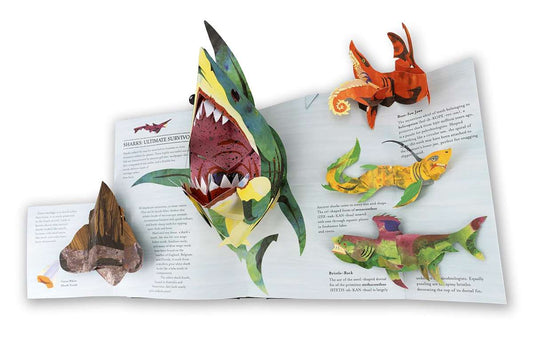 Encyclopedia Prehistorica Sharks and Other Sea Monsters Pop-Up