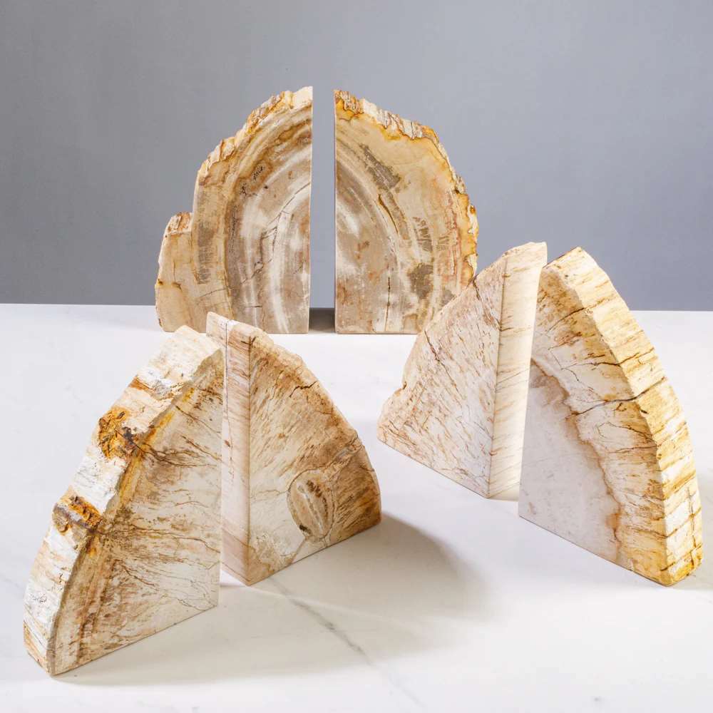 Brown Petrified Wood Bookend Set