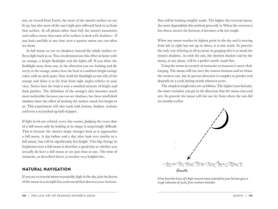 The Lost Art of Reading Nature's Signs