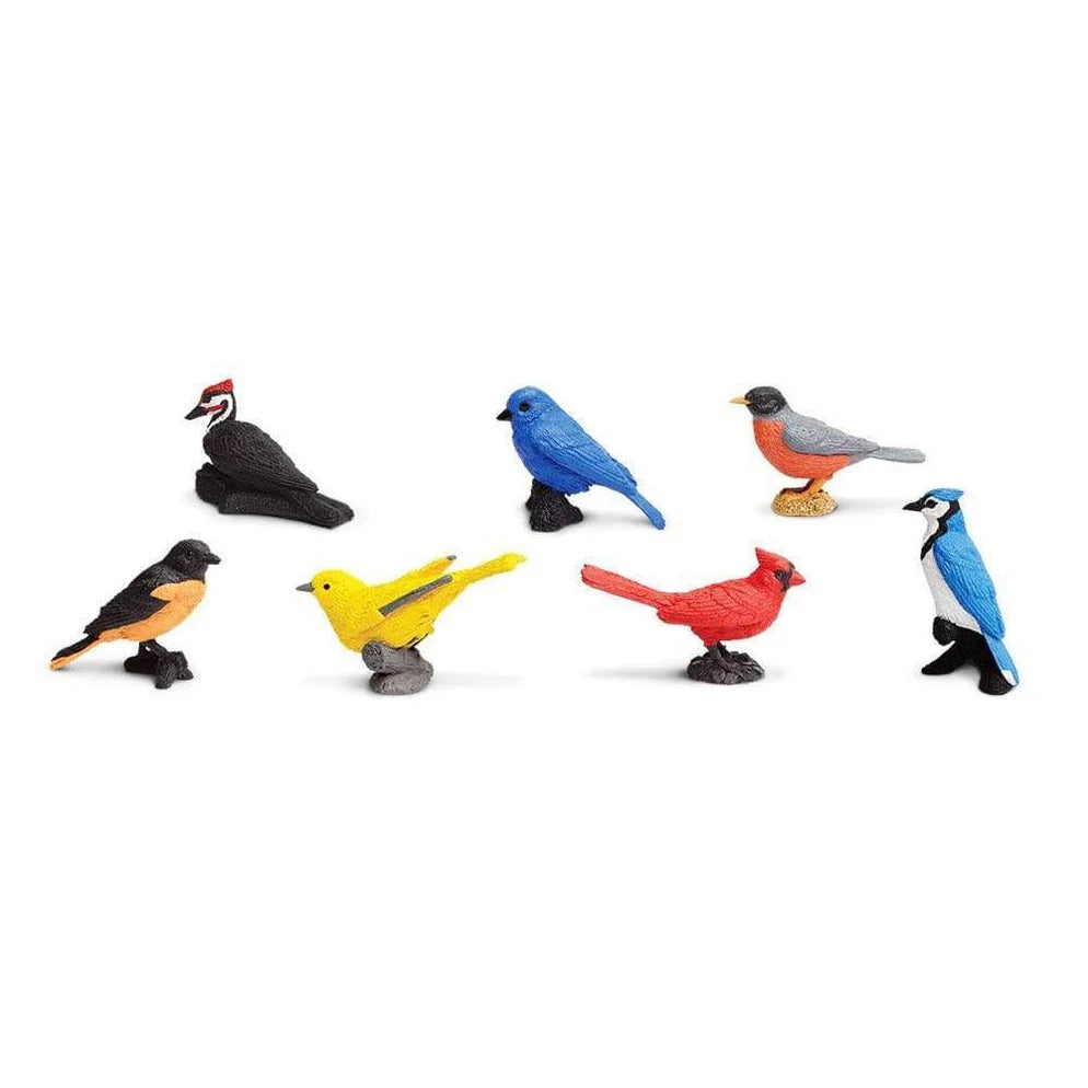 Backyard Birds TOOB