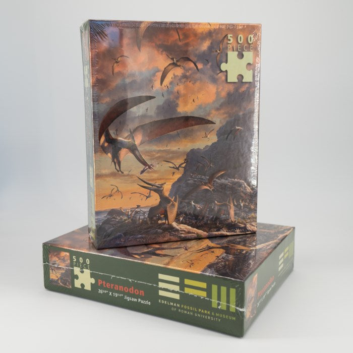 Pteranodon EFM Puzzle