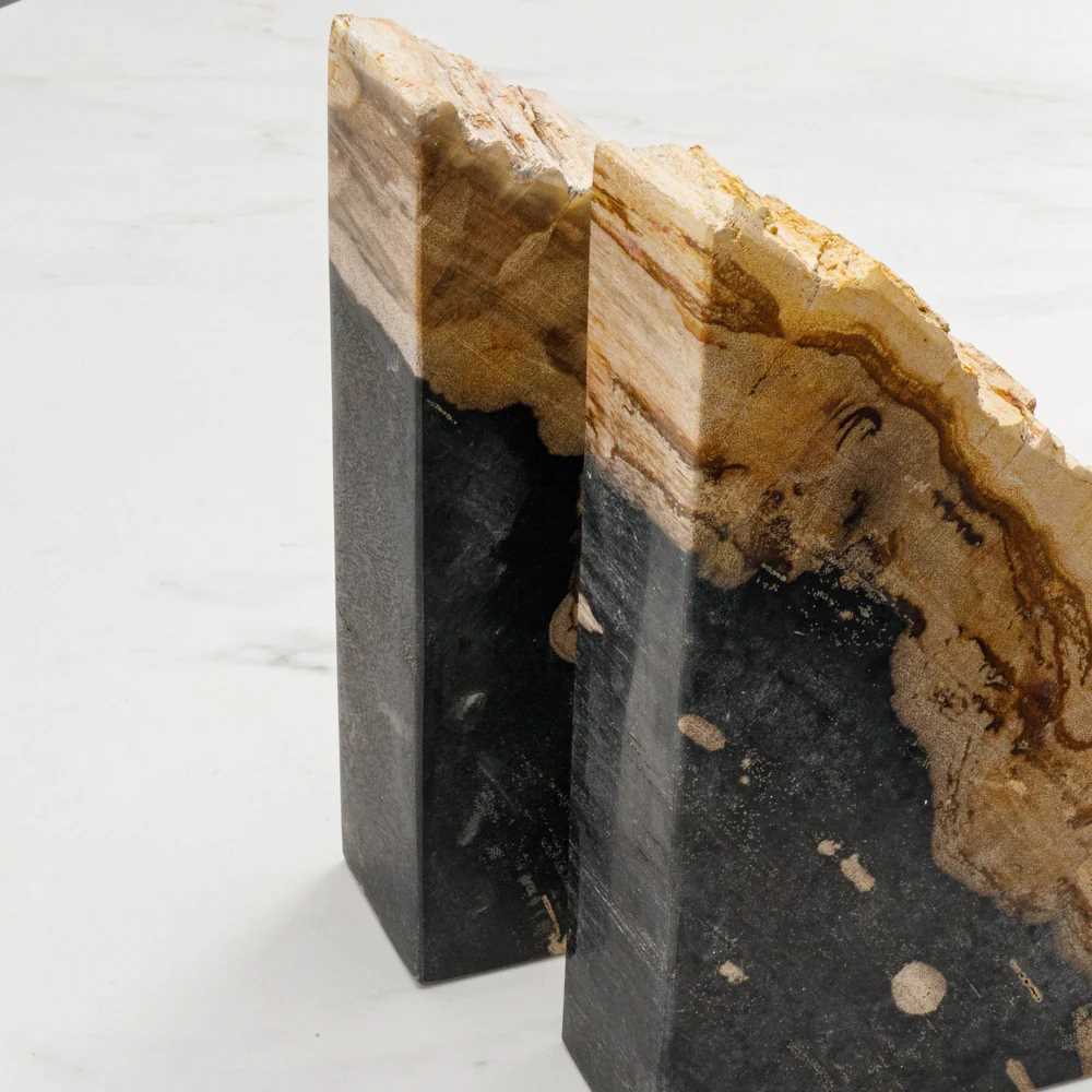 Black Petrified Wood Bookend Set