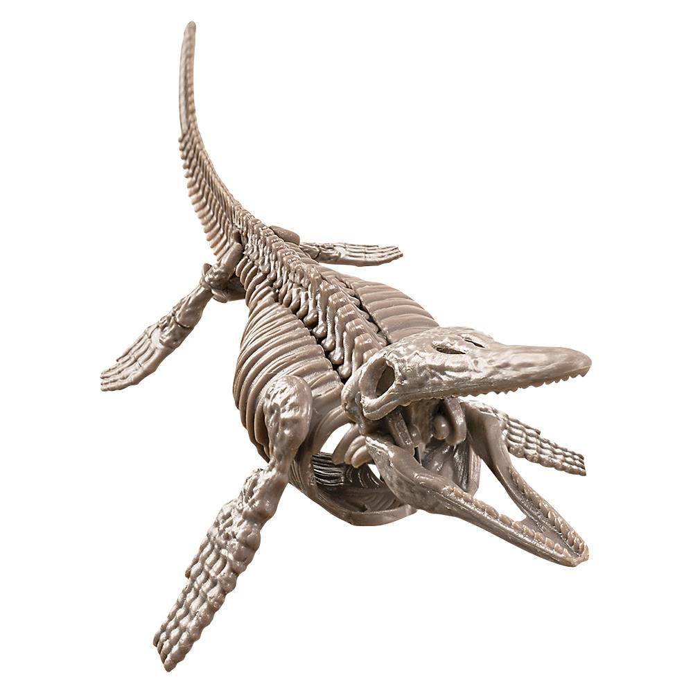 Dig a Dino: Mosasaurus