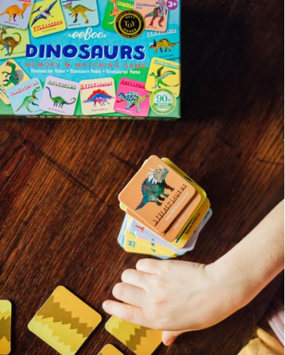 Dinosaur Little Matching Game
