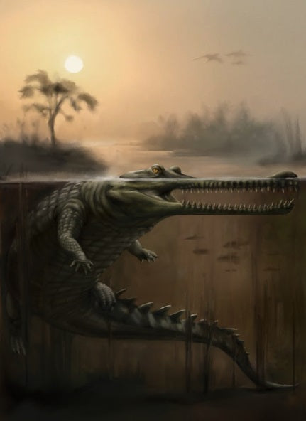 Thoracosaurus EFM Notebook