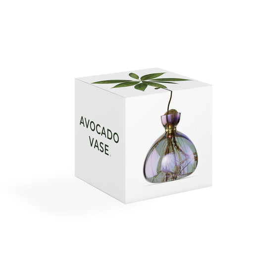 Avocado Vase - Cosmic Vega