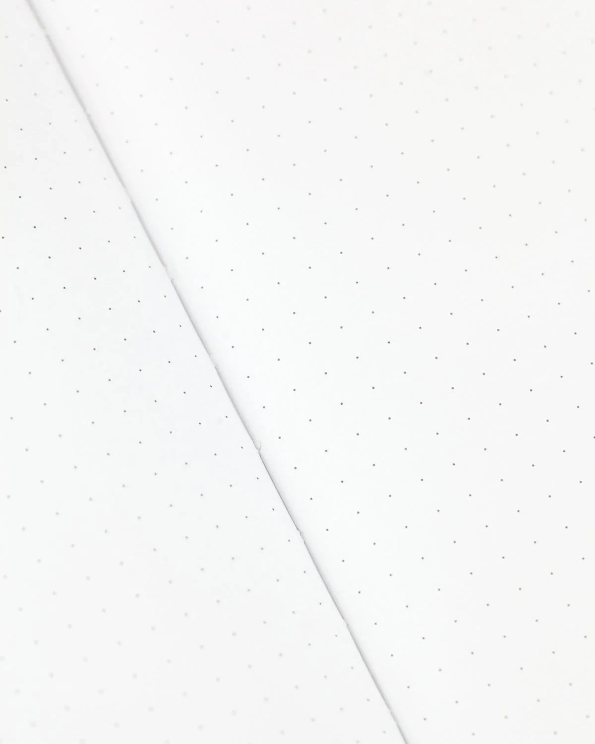 Dinosaur Softcover Notebook