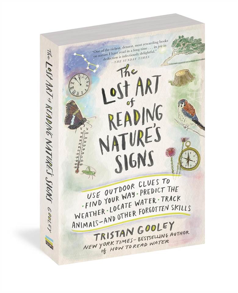 The Lost Art of Reading Nature's Signs