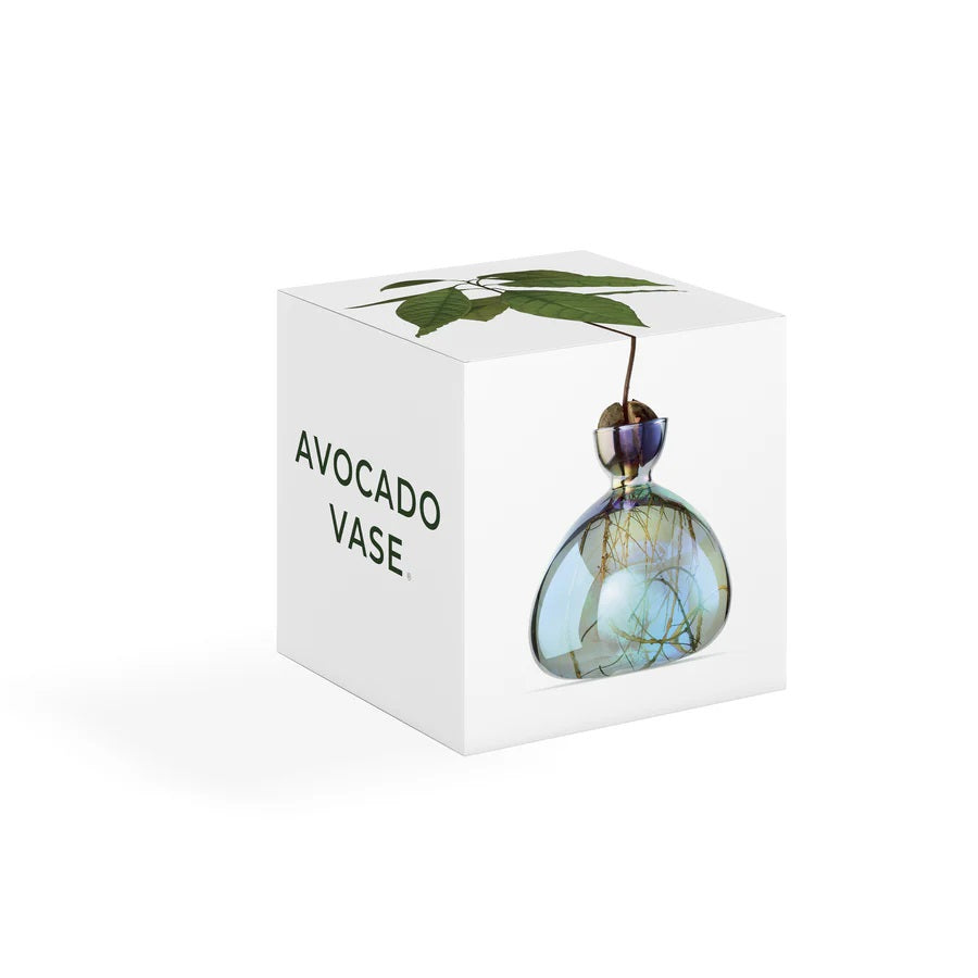 Avocado Vase - Cosmic Lyra