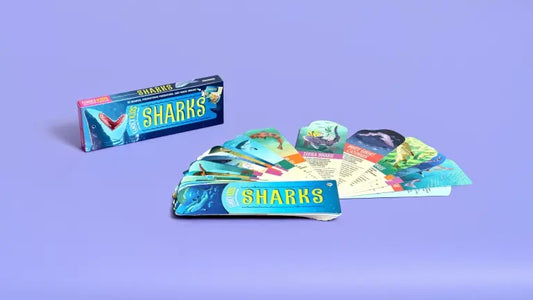 Fandex Kids: Sharks