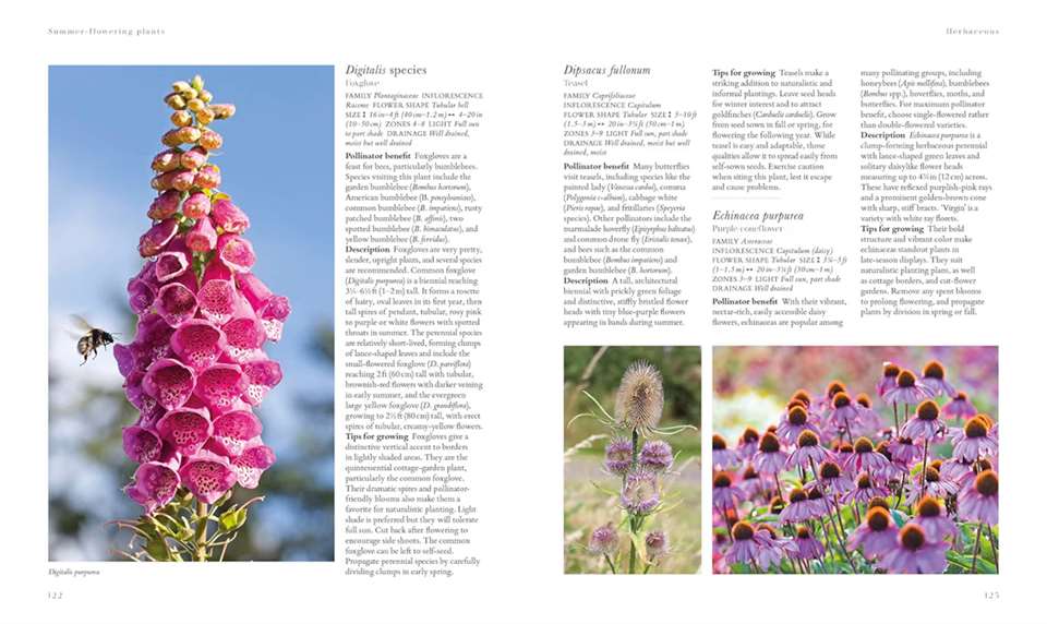Plants for Pollinators: Create a Pollinator-Friendly Haven with More than 200 Flowering Plants