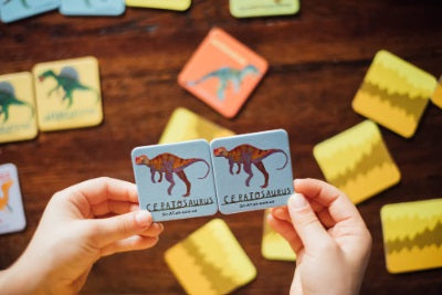 Dinosaur Little Matching Game