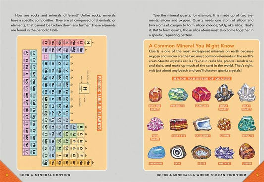 Outdoor School: Rock, Fossil, and Shell