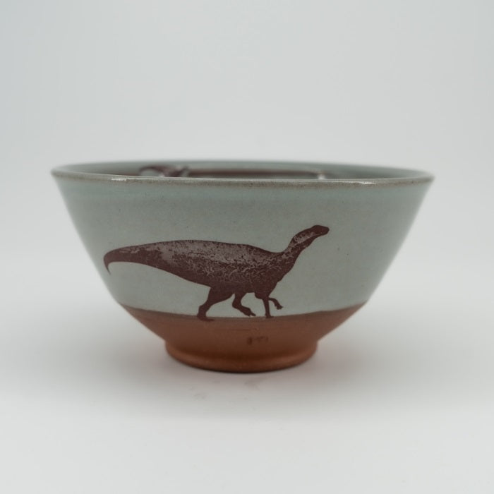 Hadro Bowl Blue