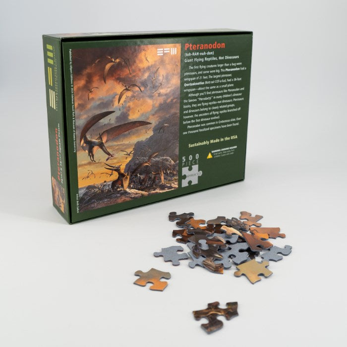 Pteranodon EFM Puzzle