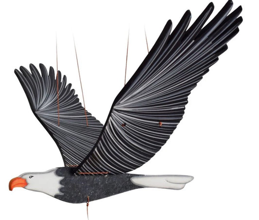 Eagle Mobile
