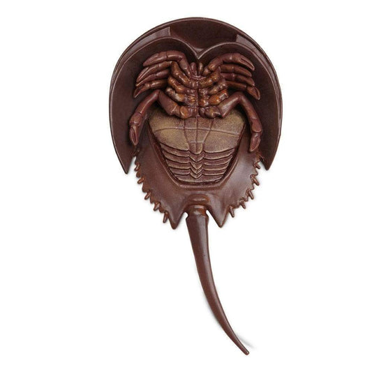 Horsehoe Crab