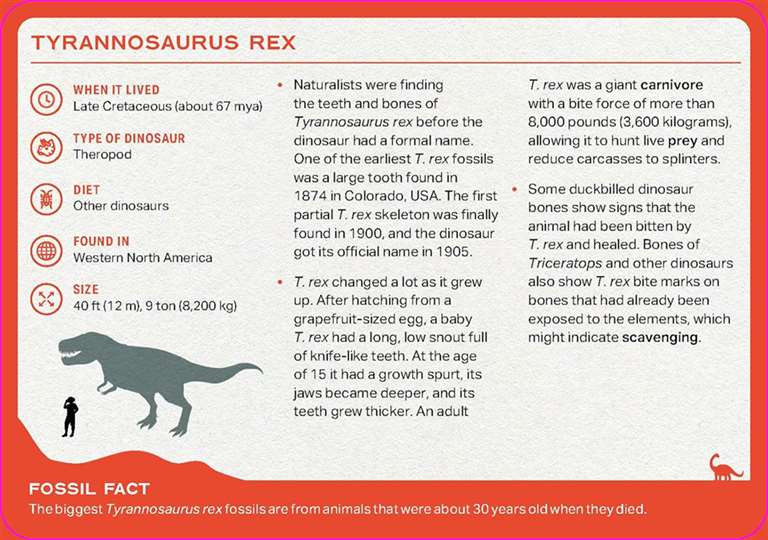 The Dinosaur Deck