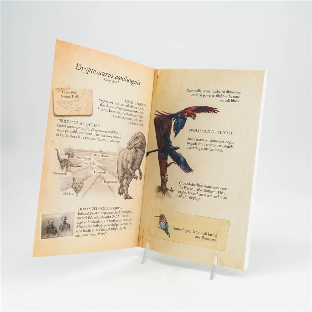 Dryptosaurus EFM Notebook