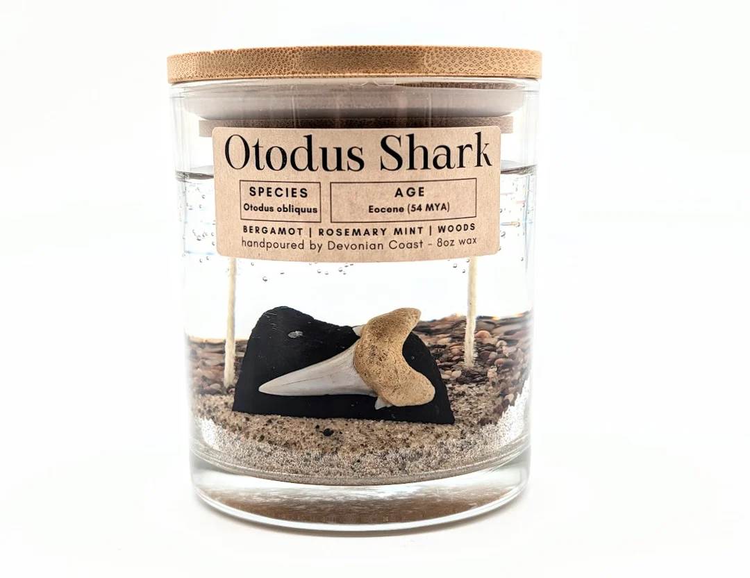 Otodus Shark Tooth Candle