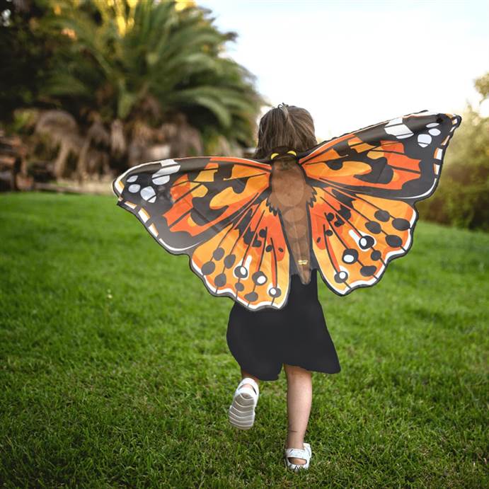 Butterfly Wonder Wings