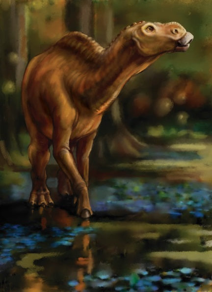 Hadrosaurus EFM Notebook