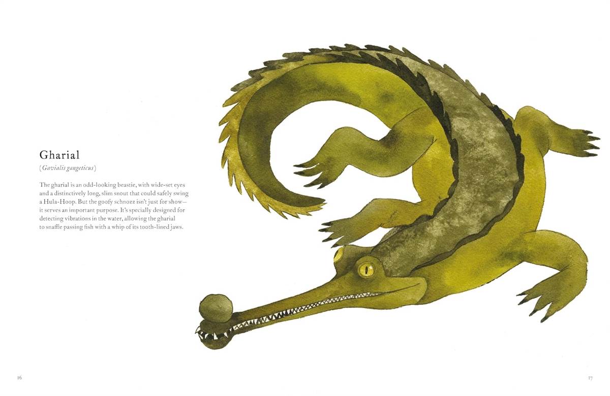The Colorful World of Reptiles