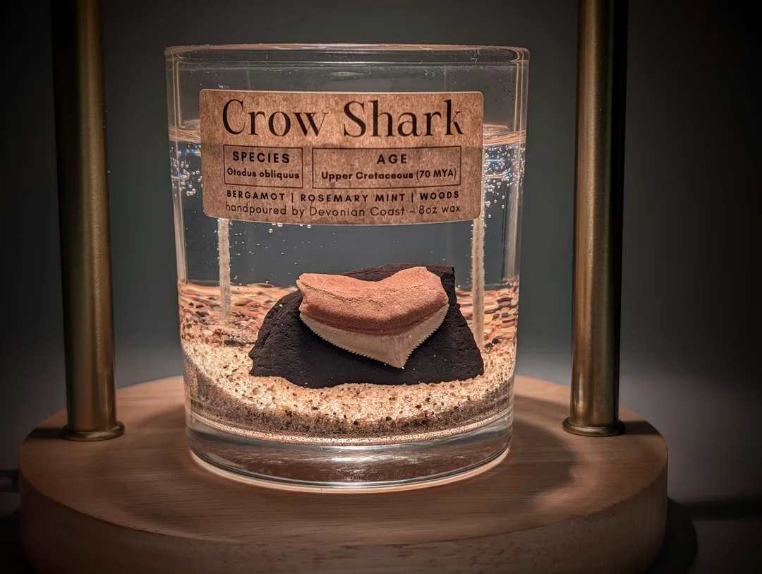 Crow Shark Tooth Candle