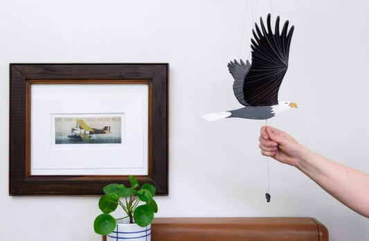 Eagle Mobile