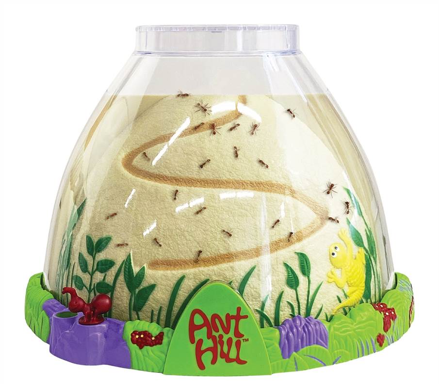 Original Ant Hill