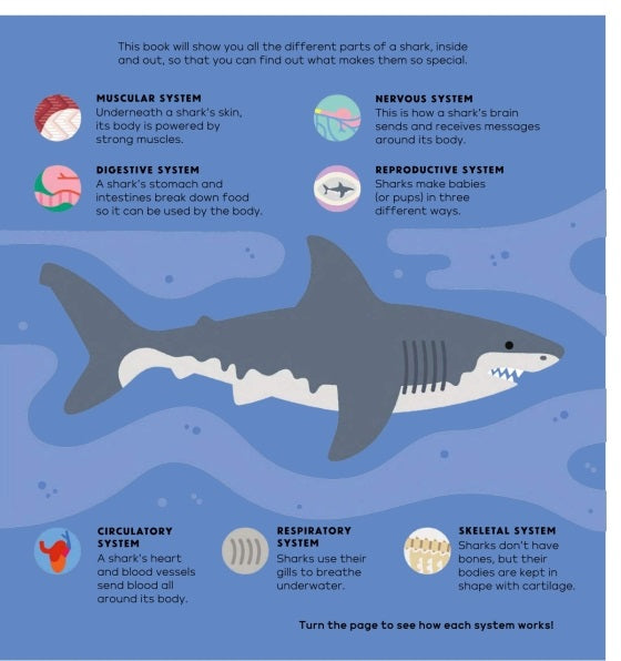 The Shark Book