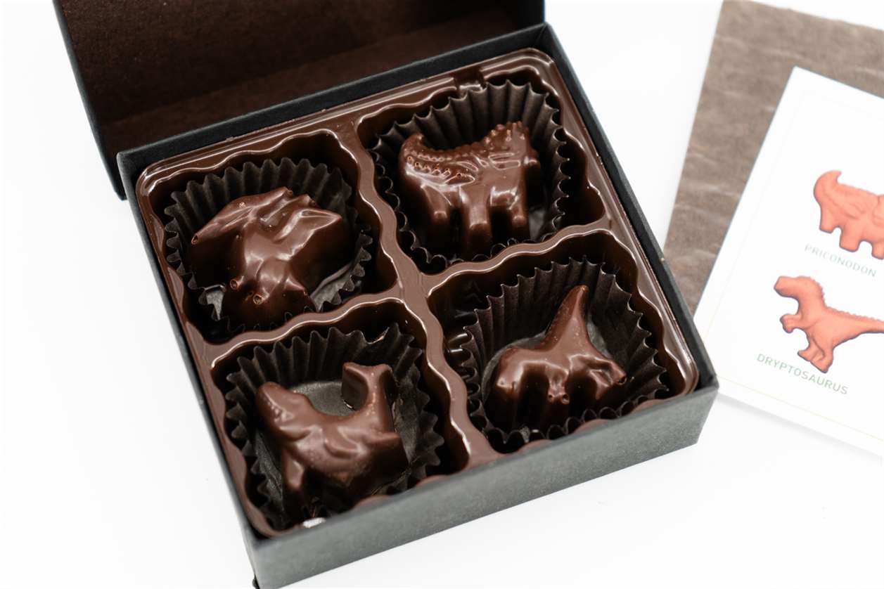 EFM Dino Chocolates