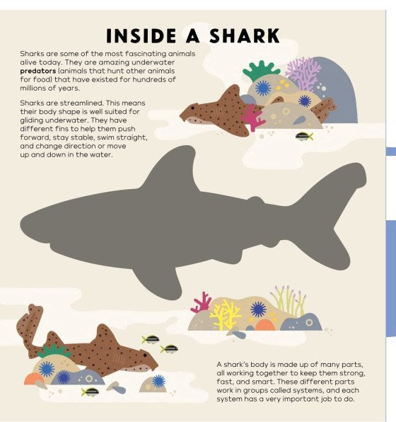 The Shark Book