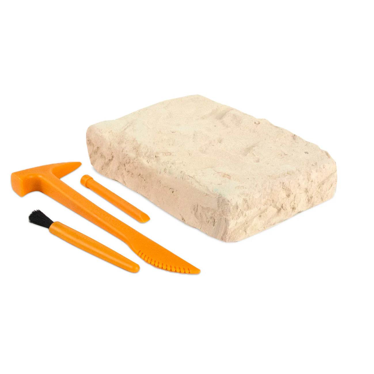 Dino Excavation Kit - Carnotaurus