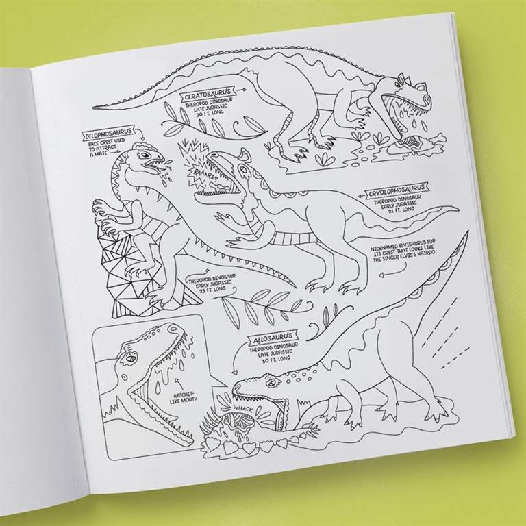 Dinosaurs Coloring Book: 40 Drawings to Color