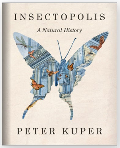 Insectopolis