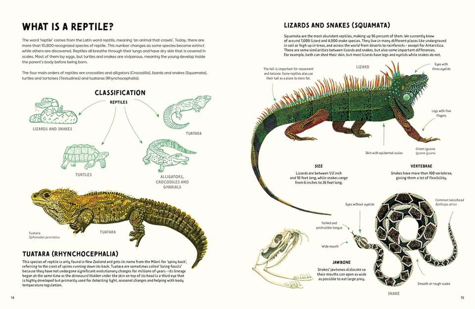 Reptiles and Amphibians of the Americas